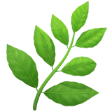 KanAura Logo